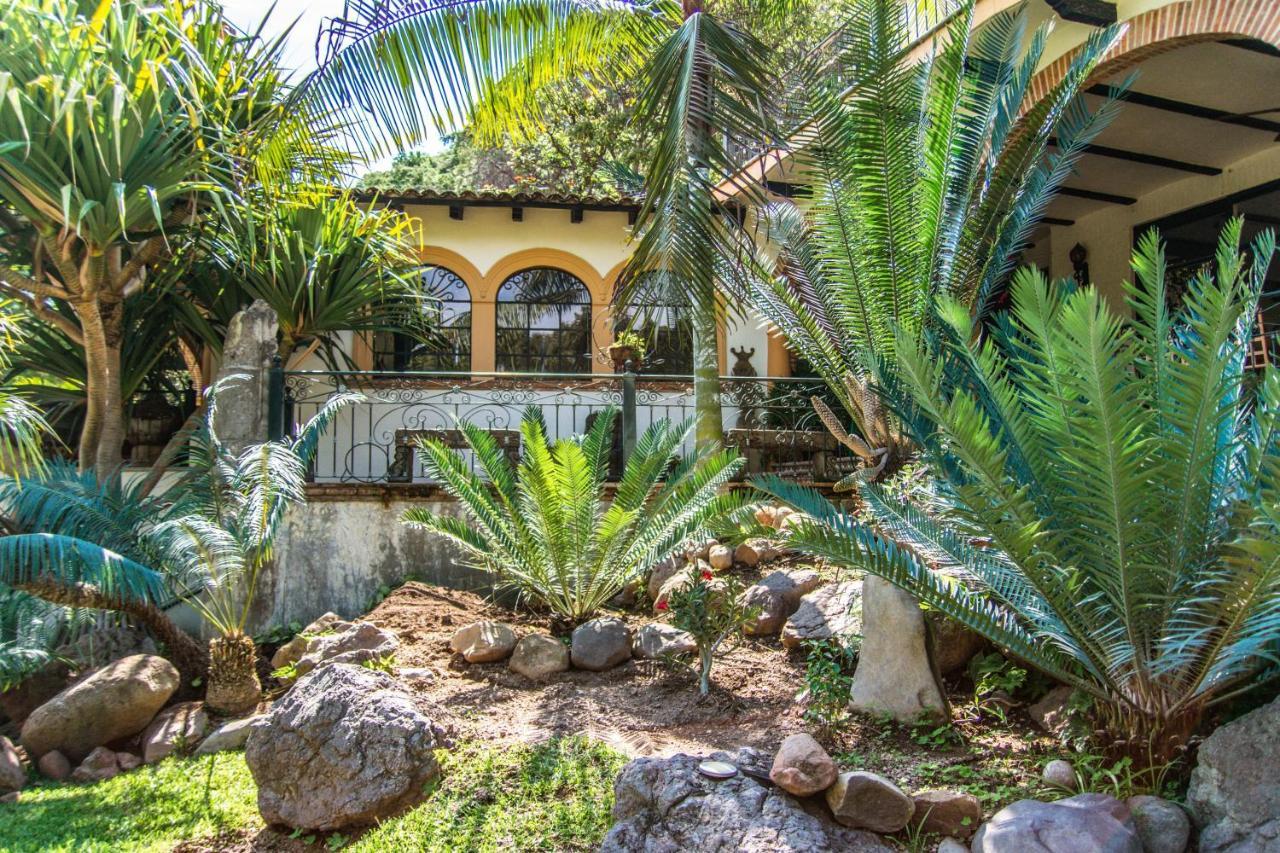 אחיחיק Casa Galeana- Tropical 1-Bd 1-Wc Mountain Top Luxury Suite With Stunning Views מראה חיצוני תמונה