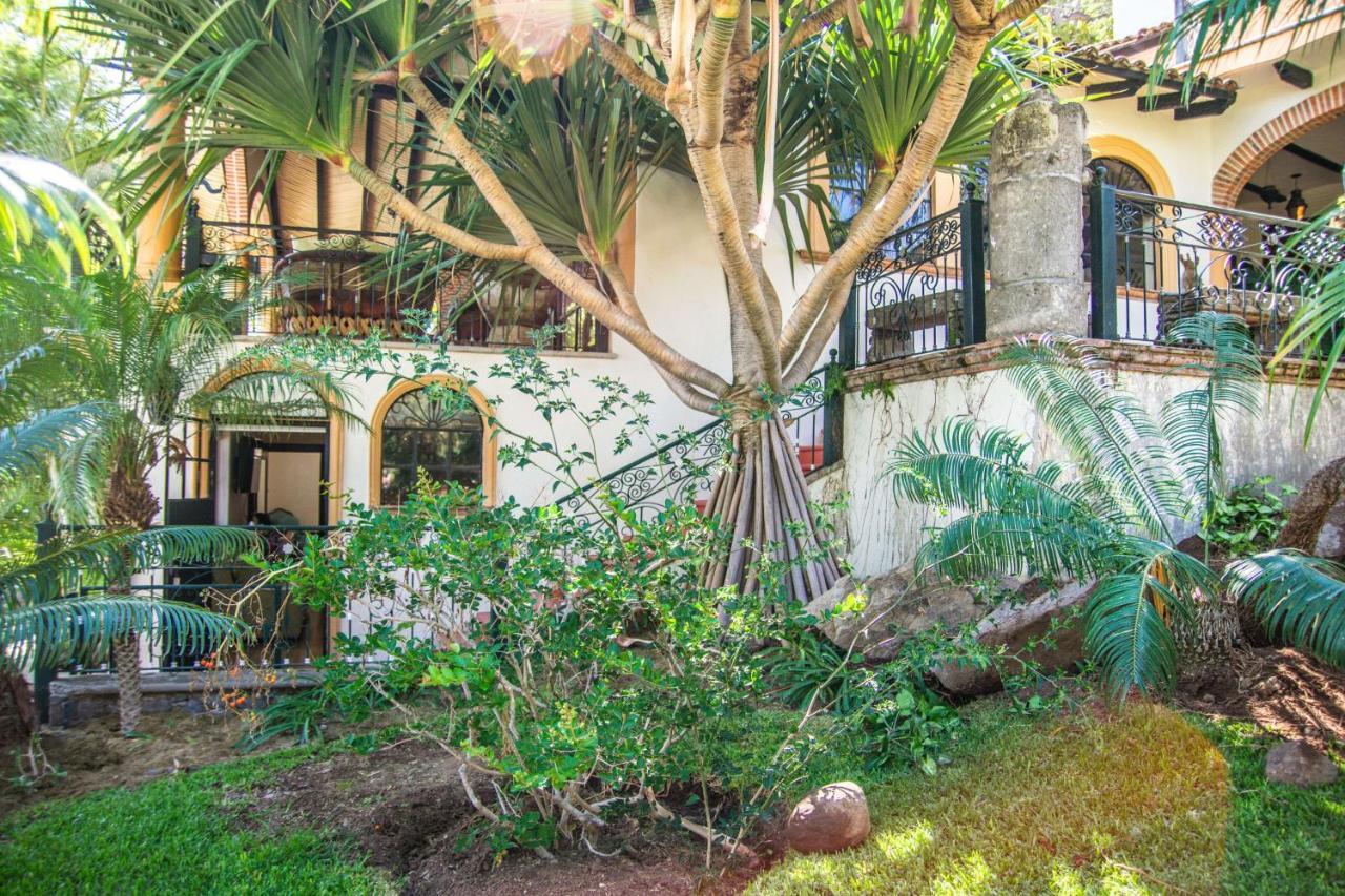 אחיחיק Casa Galeana- Tropical 1-Bd 1-Wc Mountain Top Luxury Suite With Stunning Views מראה חיצוני תמונה
