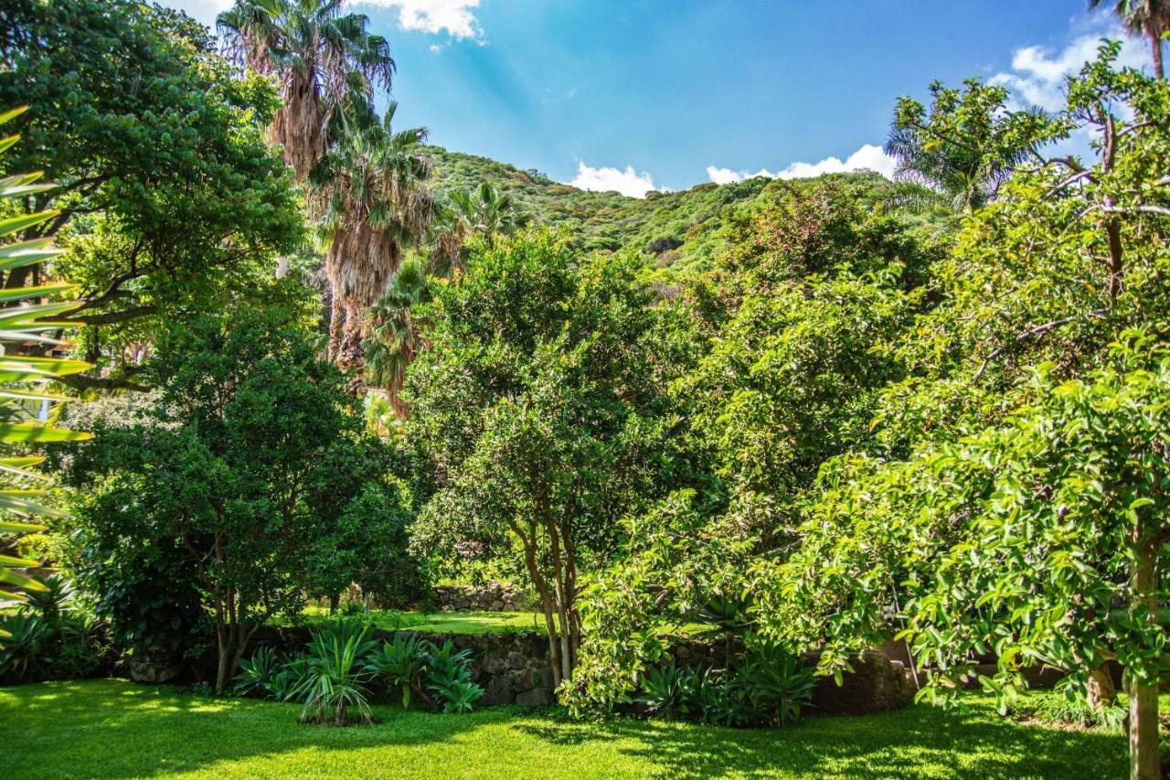 אחיחיק Casa Galeana- Tropical 1-Bd 1-Wc Mountain Top Luxury Suite With Stunning Views מראה חיצוני תמונה