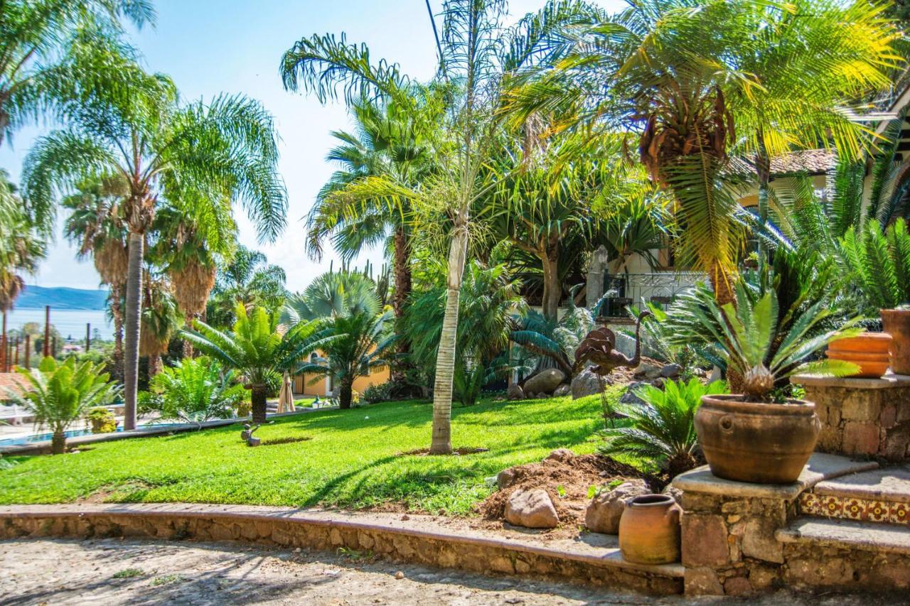 אחיחיק Casa Galeana- Tropical 1-Bd 1-Wc Mountain Top Luxury Suite With Stunning Views מראה חיצוני תמונה