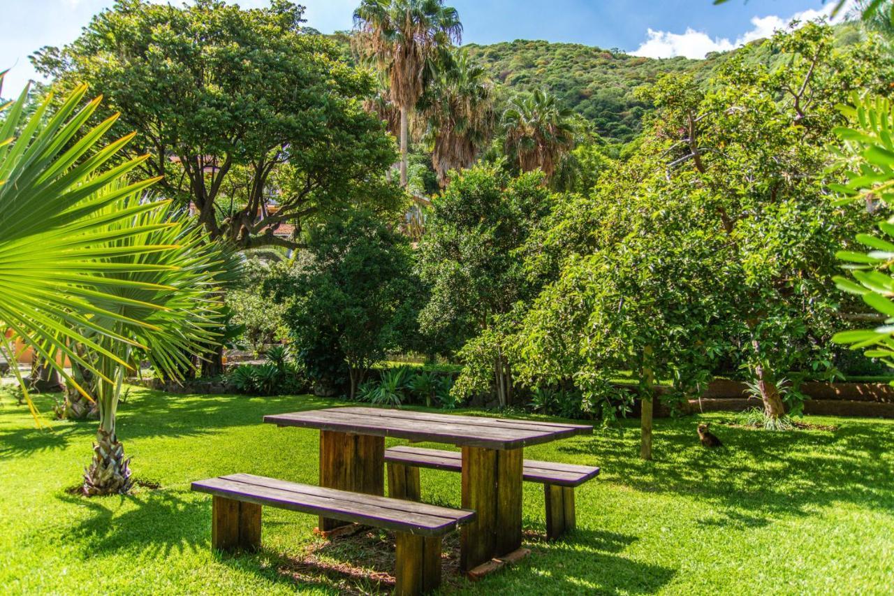 אחיחיק Casa Galeana- Tropical 1-Bd 1-Wc Mountain Top Luxury Suite With Stunning Views מראה חיצוני תמונה