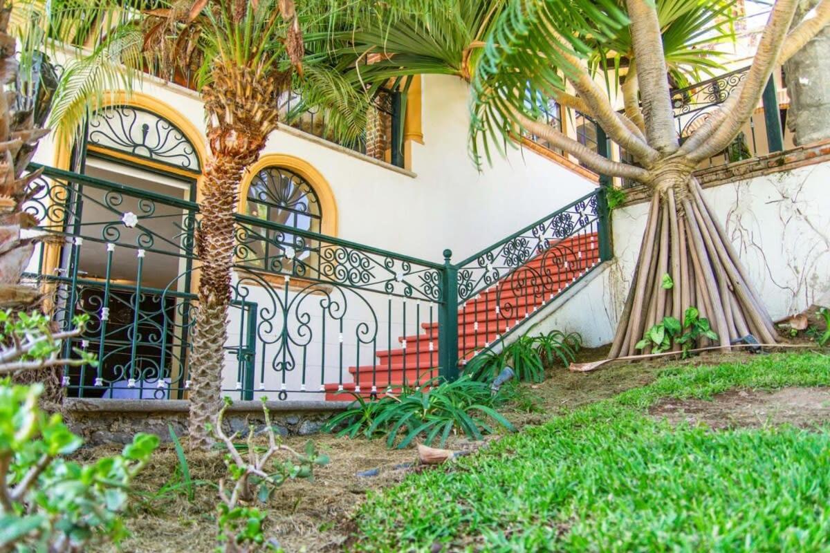 אחיחיק Casa Galeana- Tropical 1-Bd 1-Wc Mountain Top Luxury Suite With Stunning Views מראה חיצוני תמונה