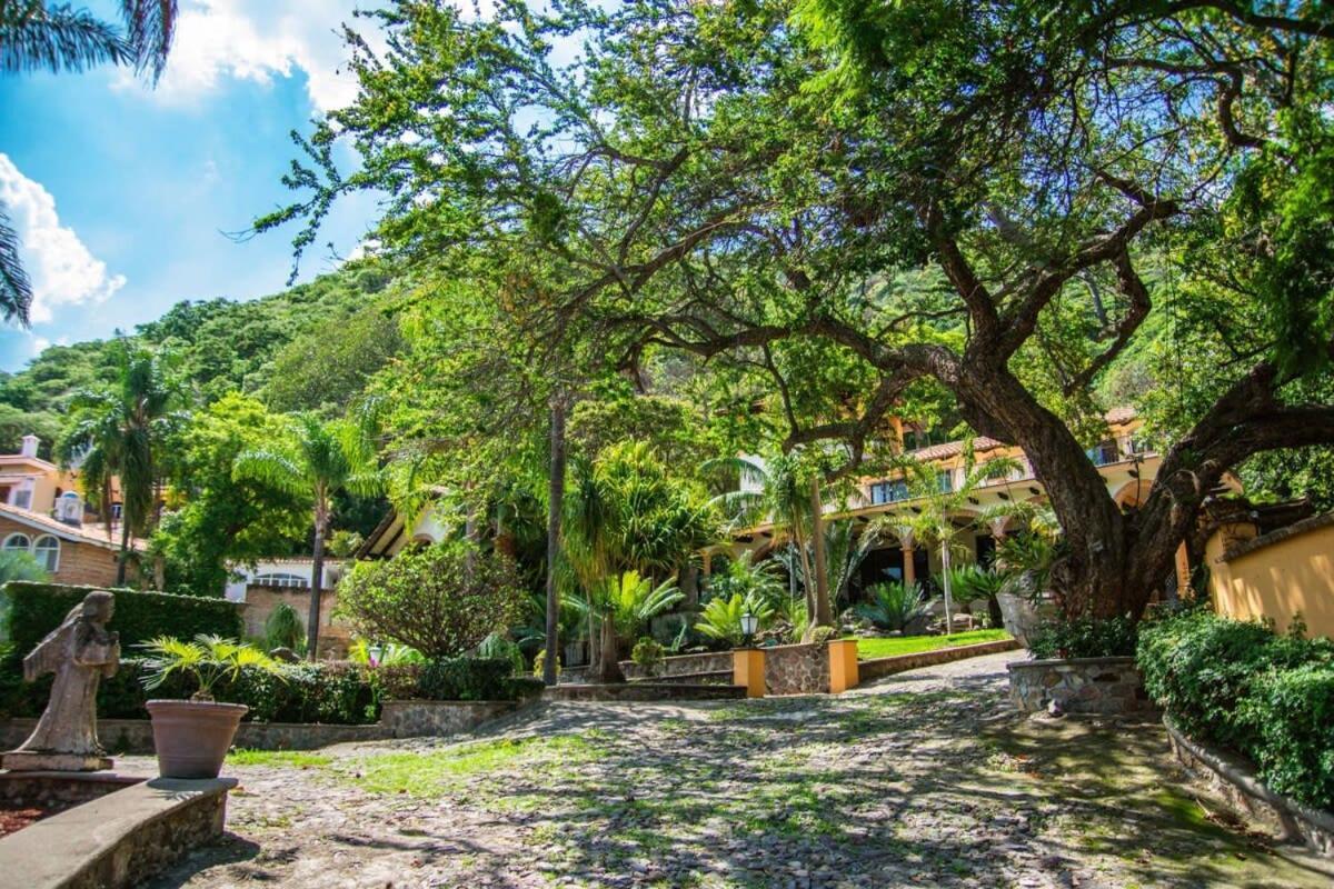 אחיחיק Casa Galeana- Tropical 1-Bd 1-Wc Mountain Top Luxury Suite With Stunning Views מראה חיצוני תמונה