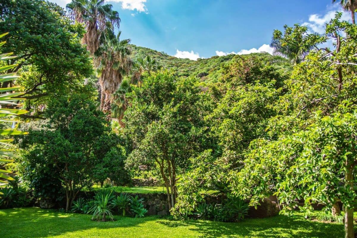 אחיחיק Casa Galeana- Tropical 1-Bd 1-Wc Mountain Top Luxury Suite With Stunning Views מראה חיצוני תמונה