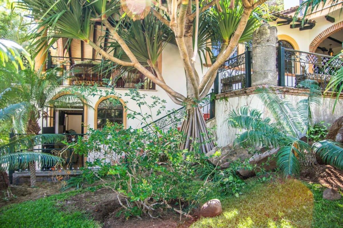 אחיחיק Casa Galeana- Tropical 1-Bd 1-Wc Mountain Top Luxury Suite With Stunning Views מראה חיצוני תמונה