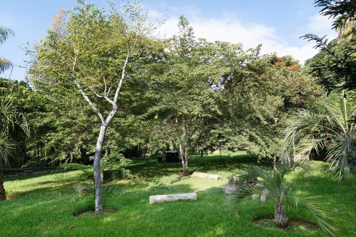 אחיחיק Casa Galeana- Tropical 1-Bd 1-Wc Mountain Top Luxury Suite With Stunning Views מראה חיצוני תמונה