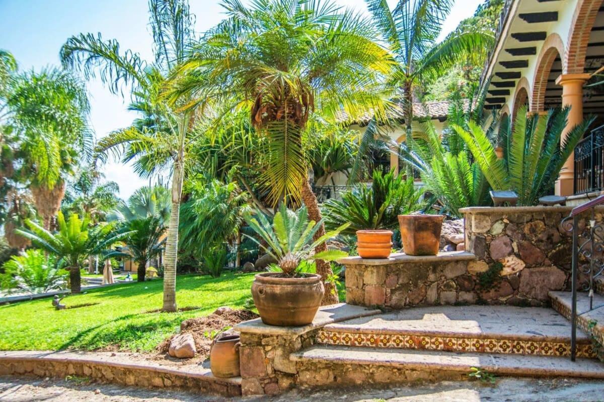 אחיחיק Casa Galeana- Tropical 1-Bd 1-Wc Mountain Top Luxury Suite With Stunning Views מראה חיצוני תמונה